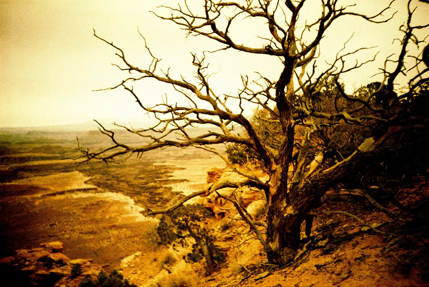 Canyonlands . Lomo LCA Series