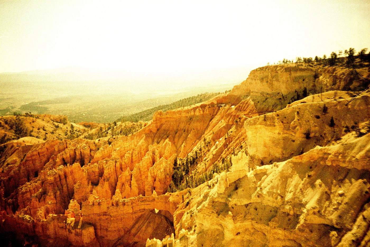 Bryce Canyon . Lomo LCA Series