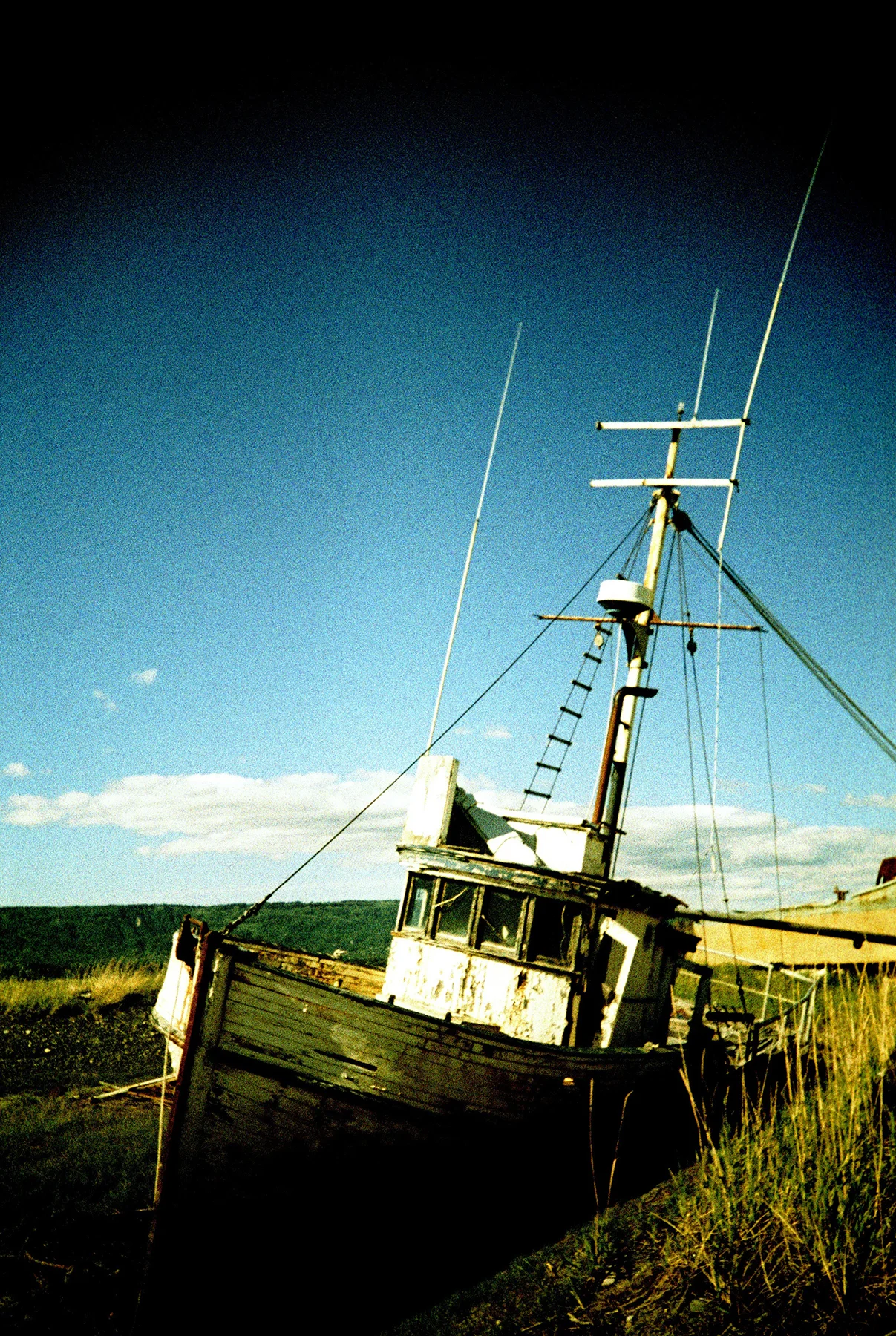 Homer.AK2014.05_0015.jpg