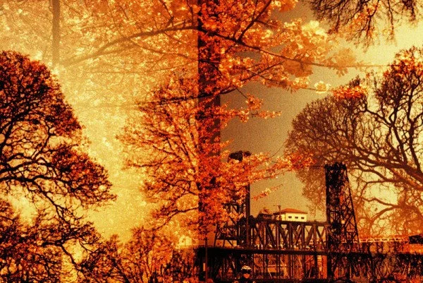 Red Bridge - Red Double Series