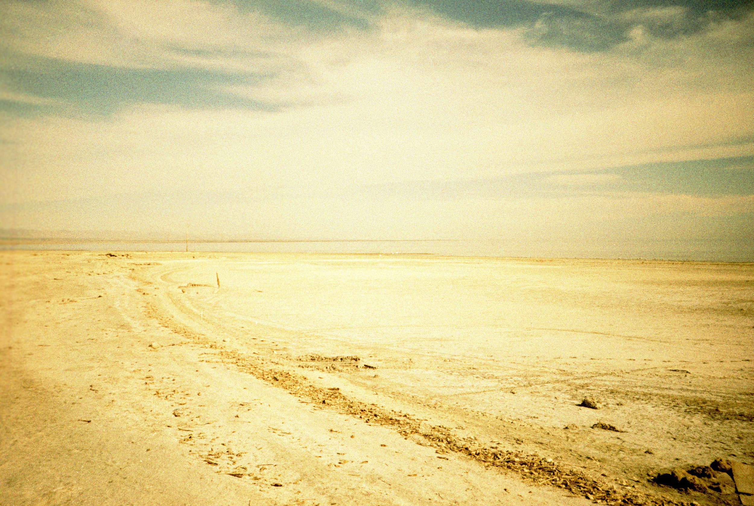 joshuatree_0036.jpg