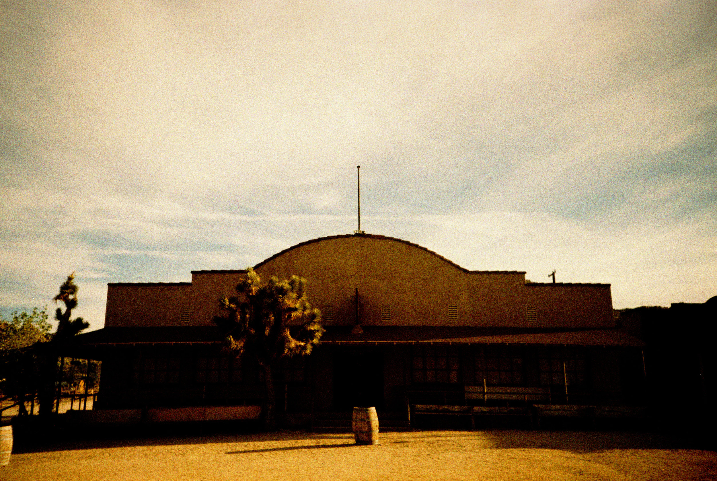 joshuaTree2016_0087.jpg