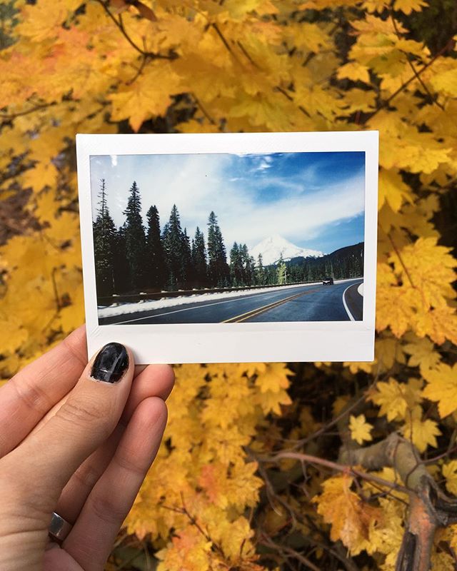 on the hunt for fall colors 🍁😍📷