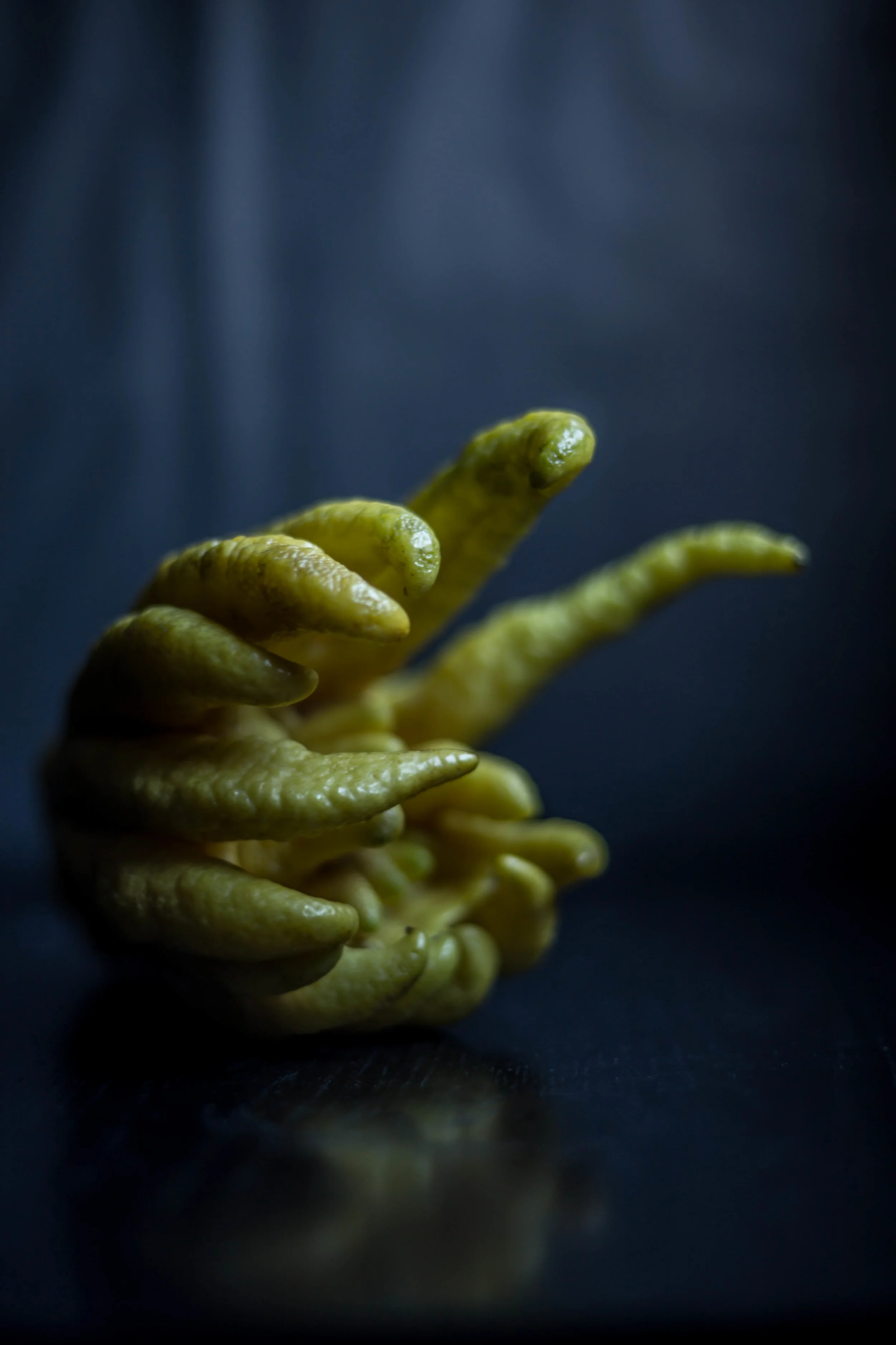Buddha's Hand