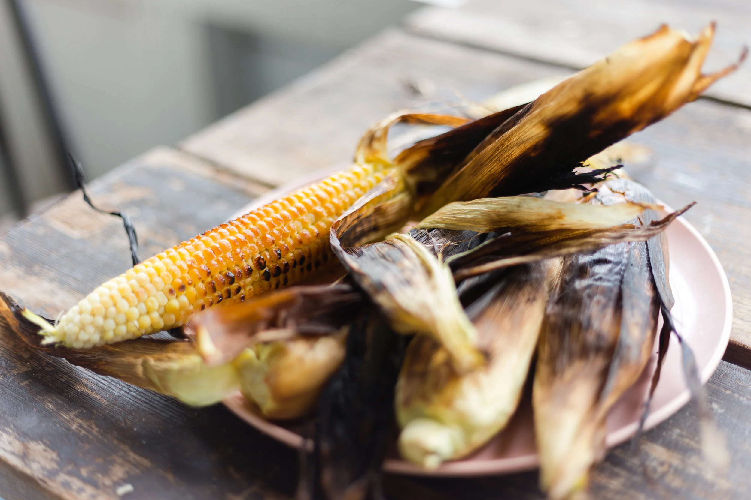 Corn_0401.jpg