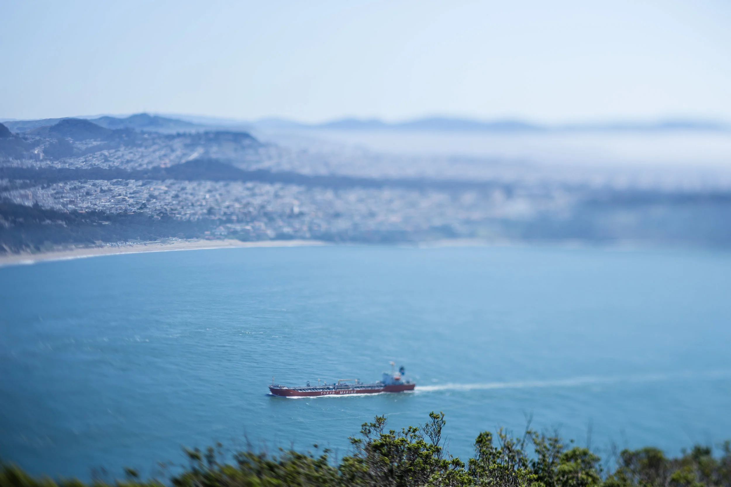 SF_0020.jpg