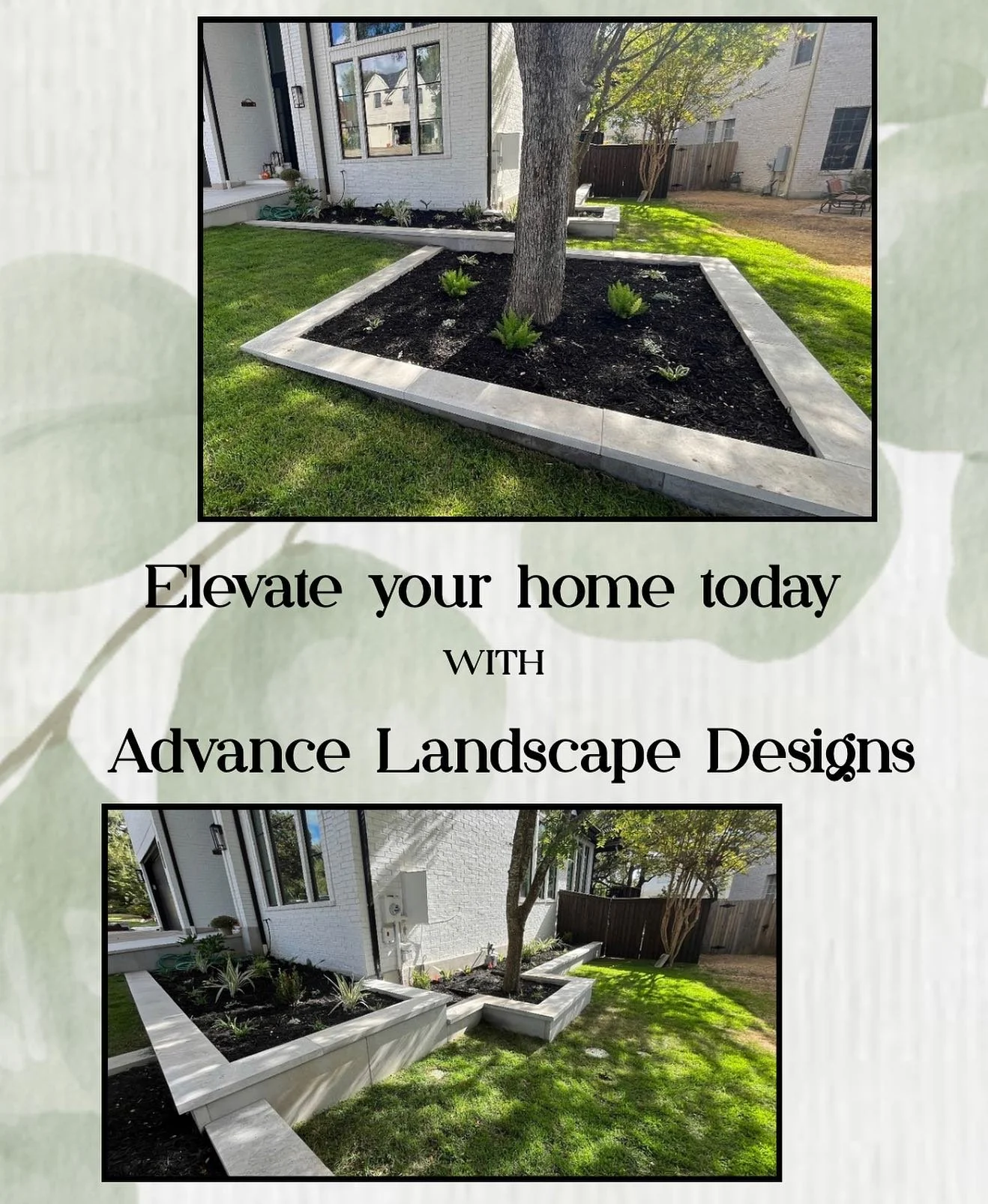 Elevate your home today and call Advance Landscape Designs! 

📞 512-918-8009

#lawn #lawncare #austin #austintexas #texas #512 #home #homeimprovement #cedarparktx #roundrocktx #treeservice 
#austin #austintexas #lagovista #lagovistatx #roundrock #la