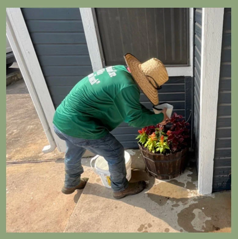 We care for your plants!

Call us today!
512-918-8009

#austintx #austin #austinbusiness #cedarparktx #austintexas  #cedarparktexas #homeimprovement #landscape #leandertx #leandertexas #lagovistatx #pflugervilletx #pflugervilletexas #lawncare #local 