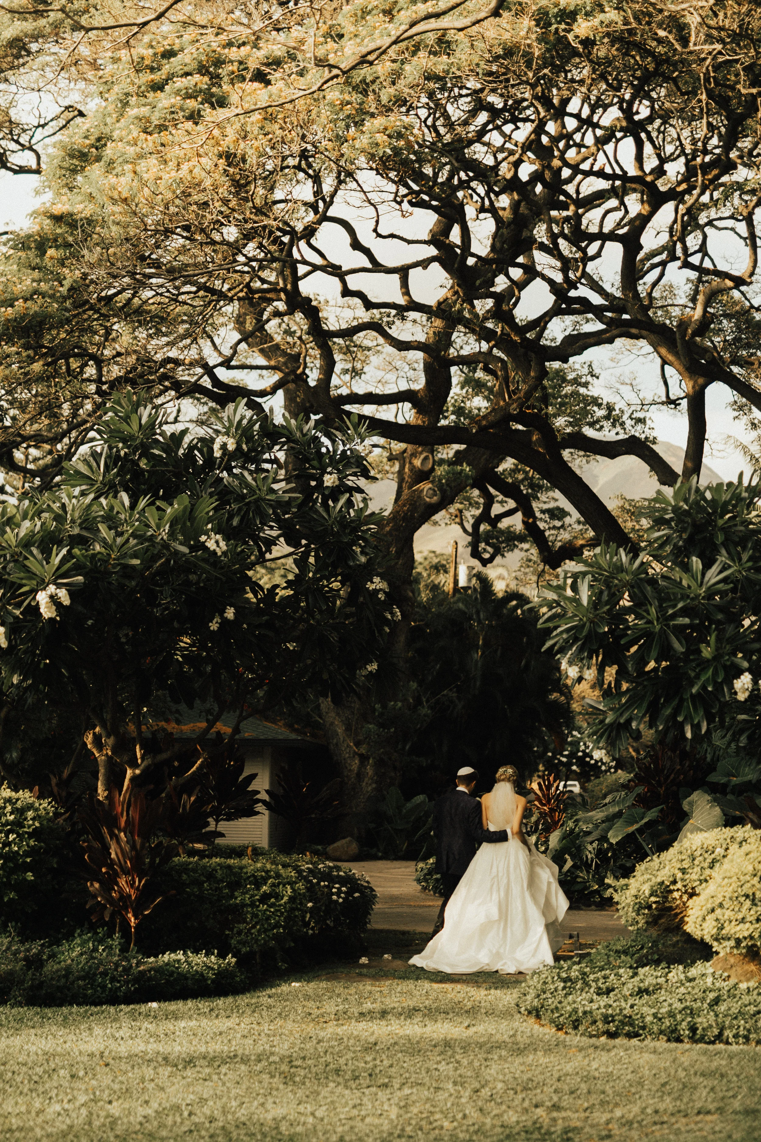 mauiphotographer.jpg