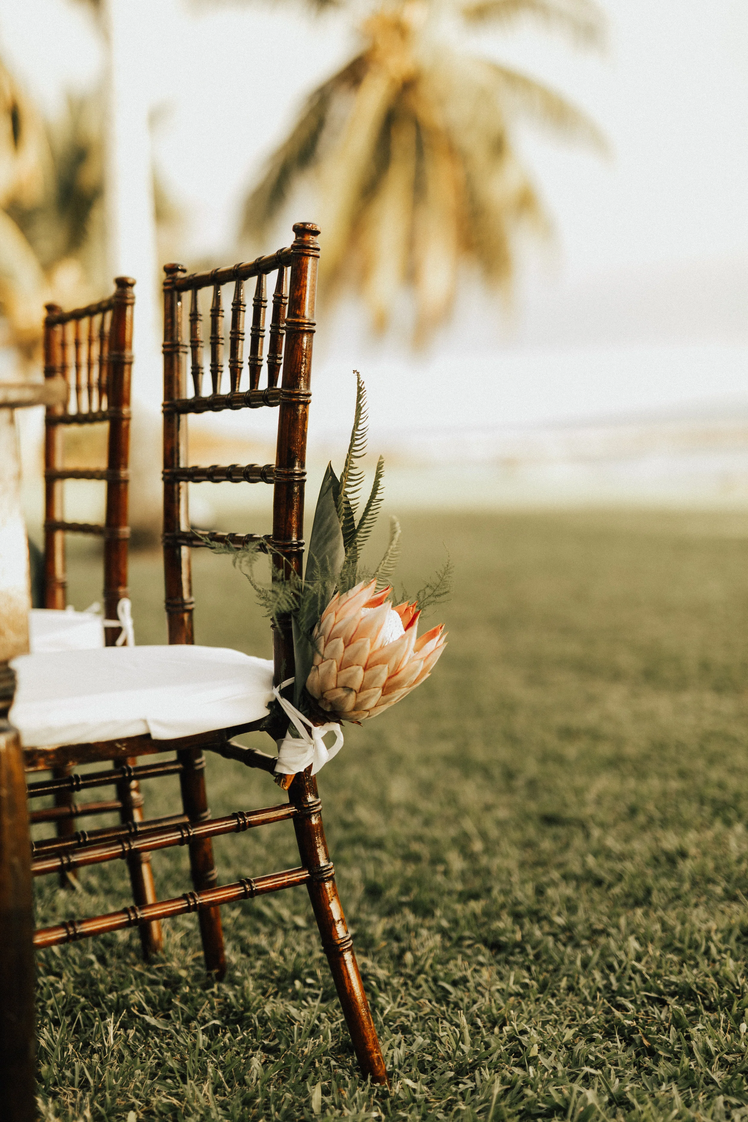 mauiphotographer.jpg