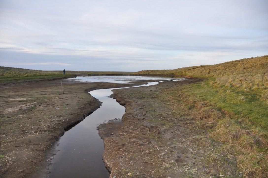 Creek running through the pampas