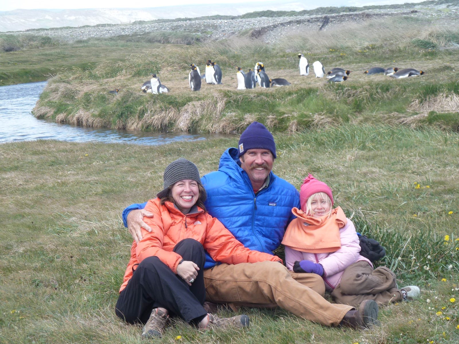 My family in front of a King penguin colony
