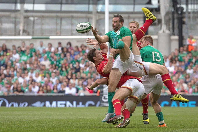 Arms & Legs20150829- (4) in RT.jpg