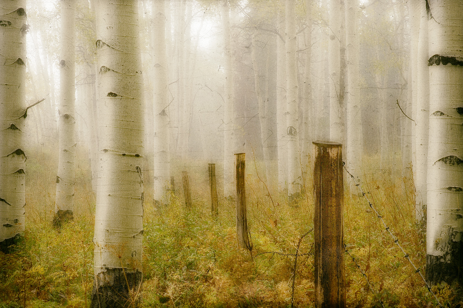 Fog, Gore Pass, Colorado