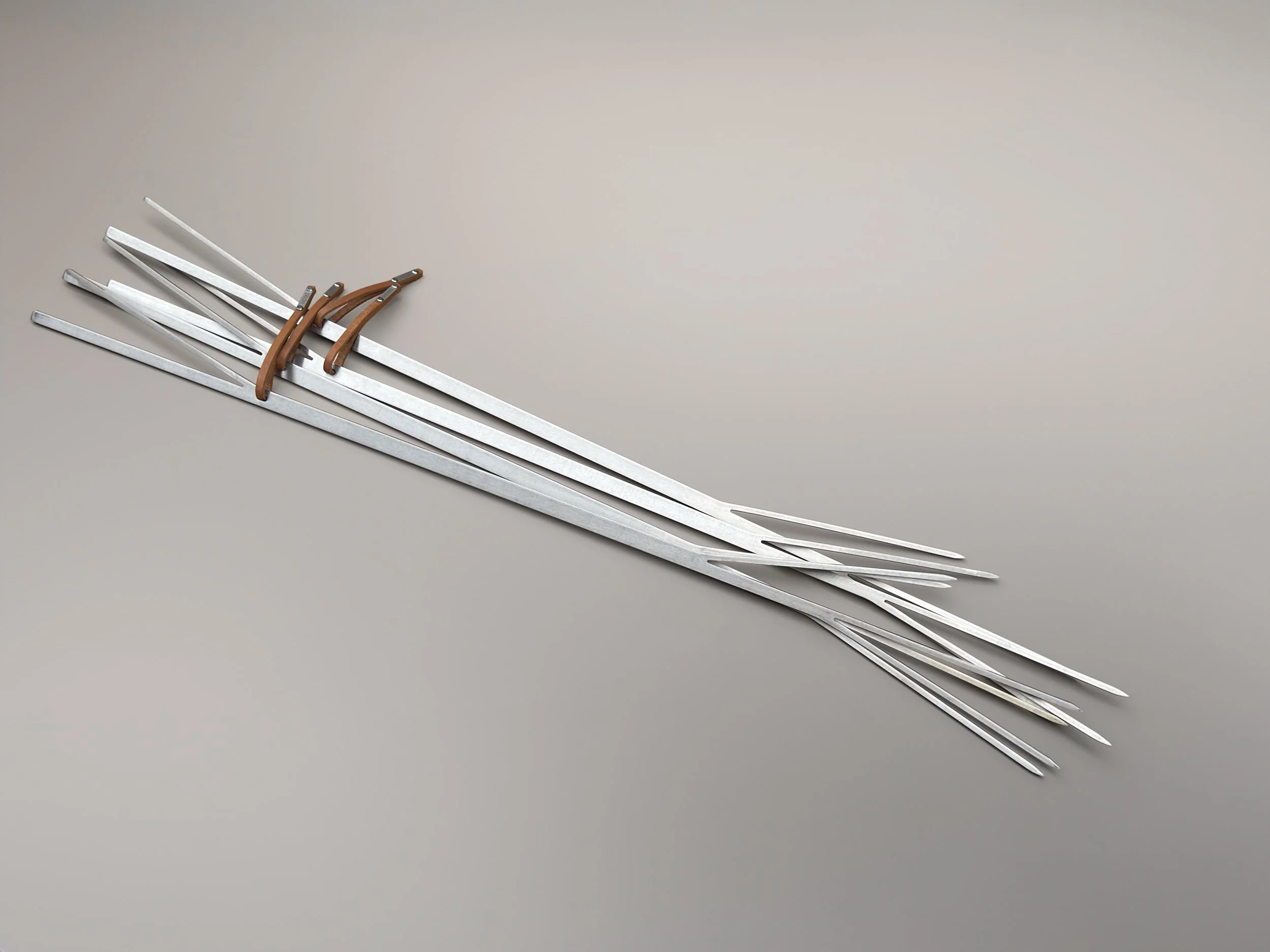 plodes branch bundle perspective.jpg