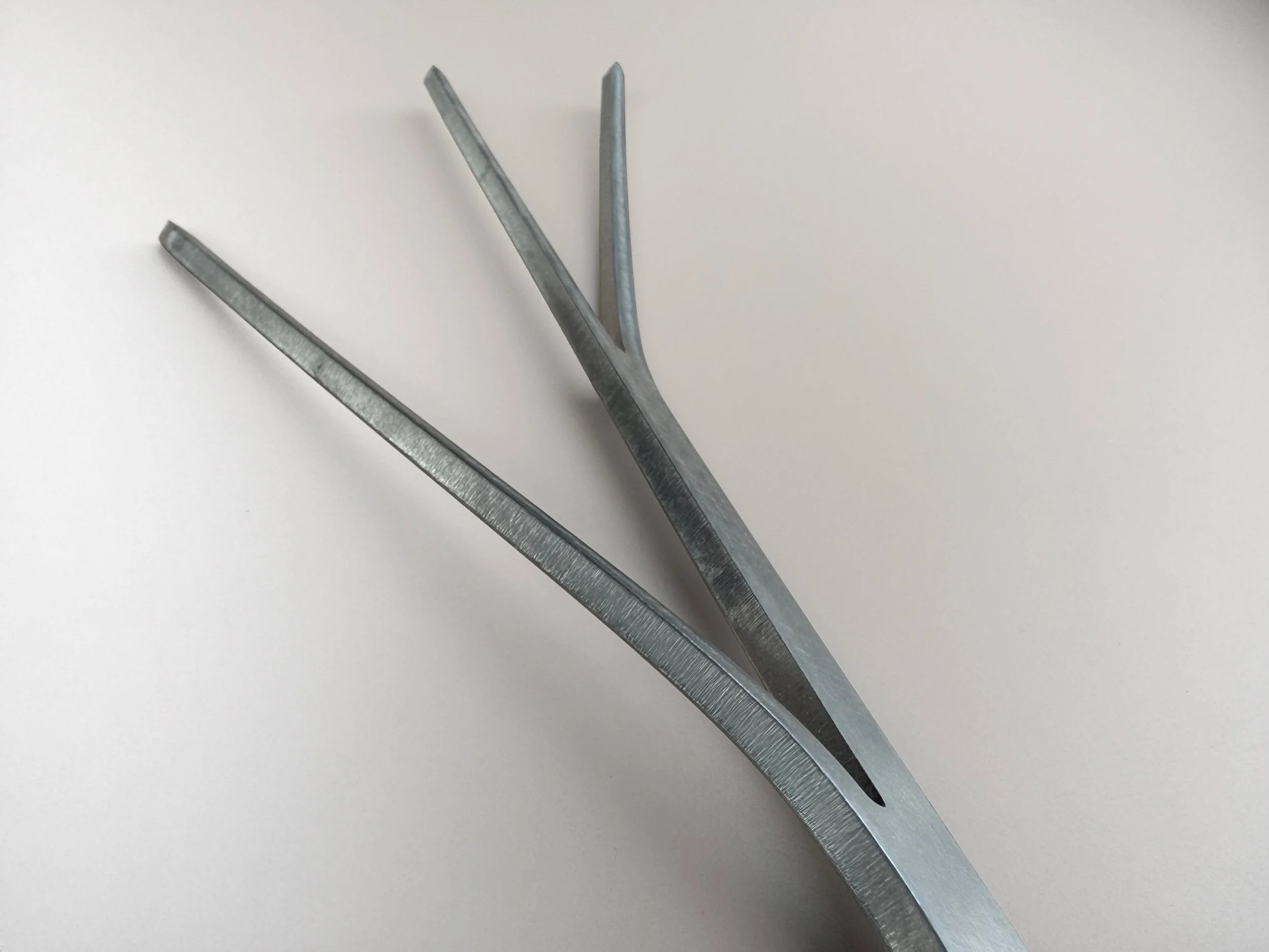 plodes branch fork close-up.jpg