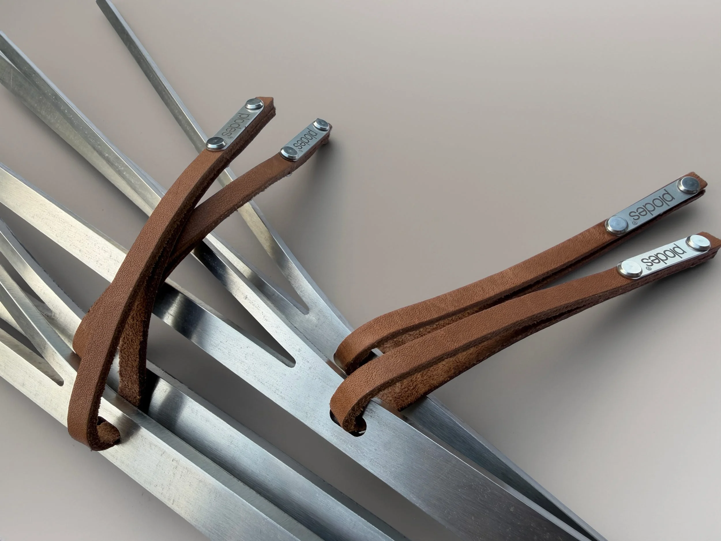 plodes branch bundle close-up.jpg