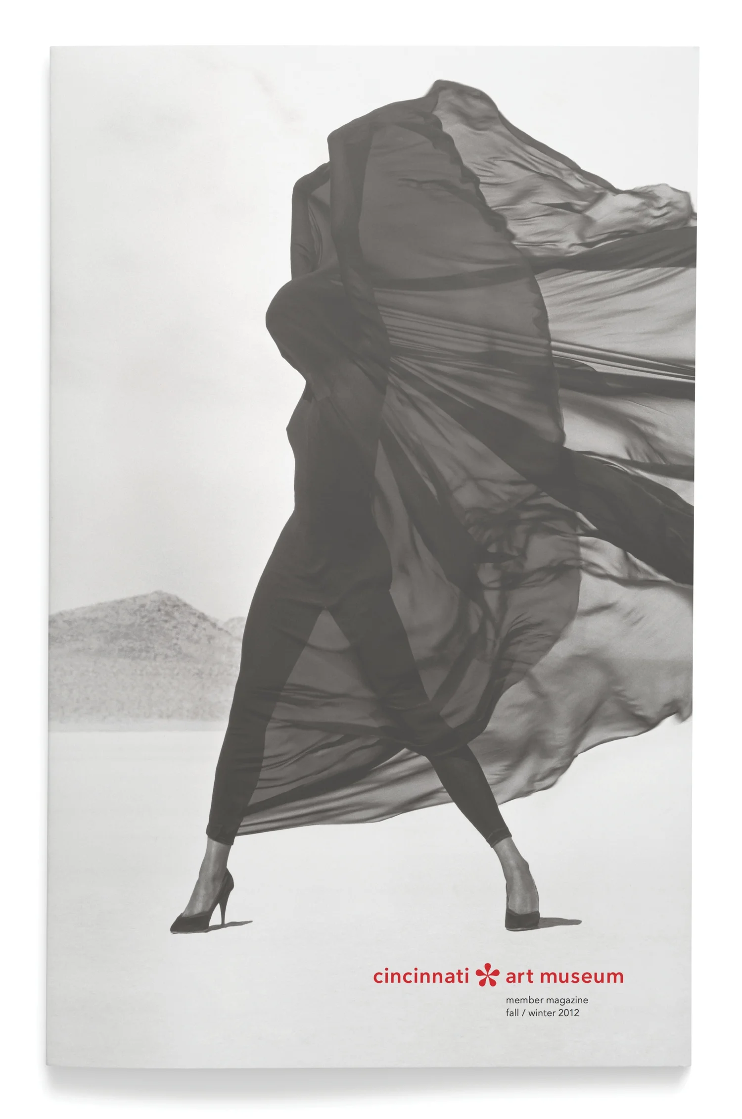 DanelleCheney_MuseumMemberMagazine_83.jpg