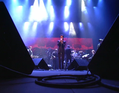 TedGrudowski-NickCave-10