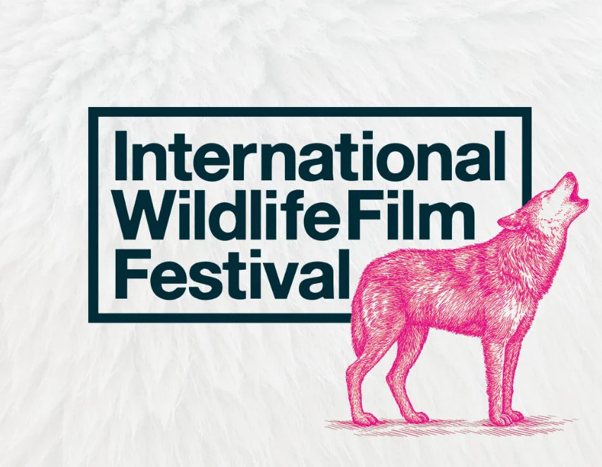 courtesy of the International Wildlife Film Festival