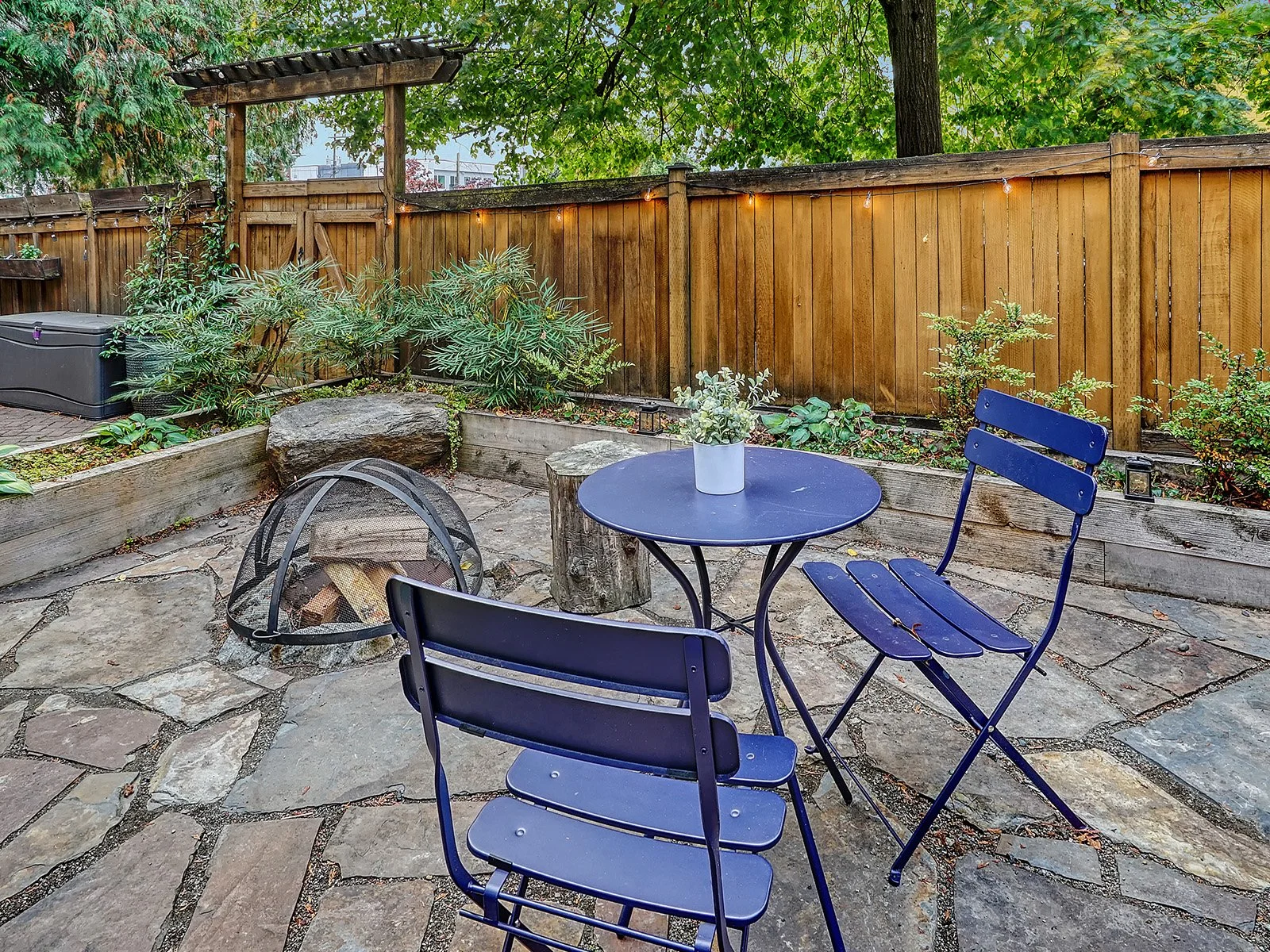 DSC00193_20 copy.jpg