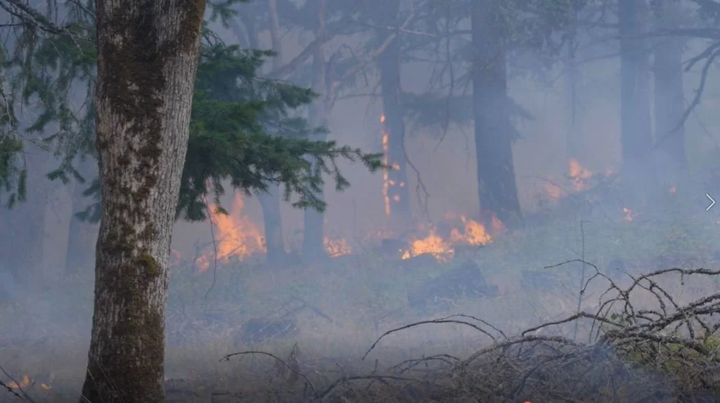 Prescribed Fire Program