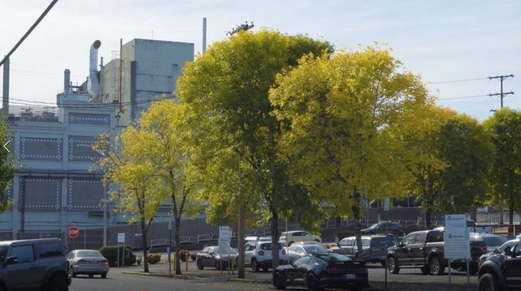 Urban &amp; Community Forestry Program