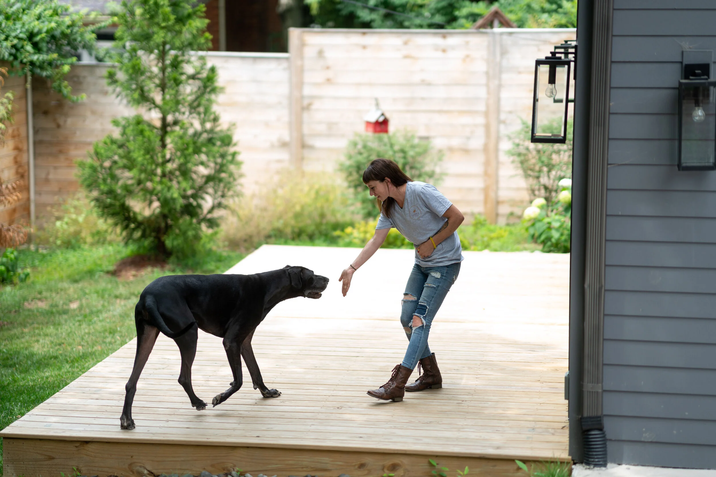 Dog 2024 behavior training