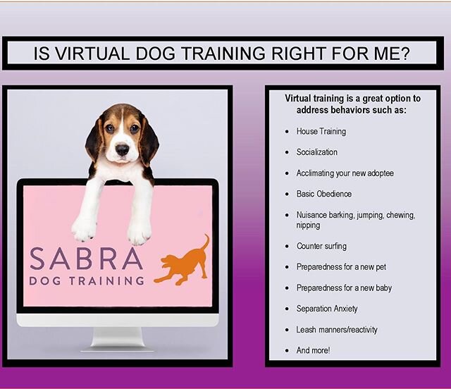 We are overjoyed seeing how many homes have been able to find some silver lining while doing their part to #flattenthecurve and have added a new puppy or dog to the household during this time. &bull;
How are you going about socializing that puppy whi