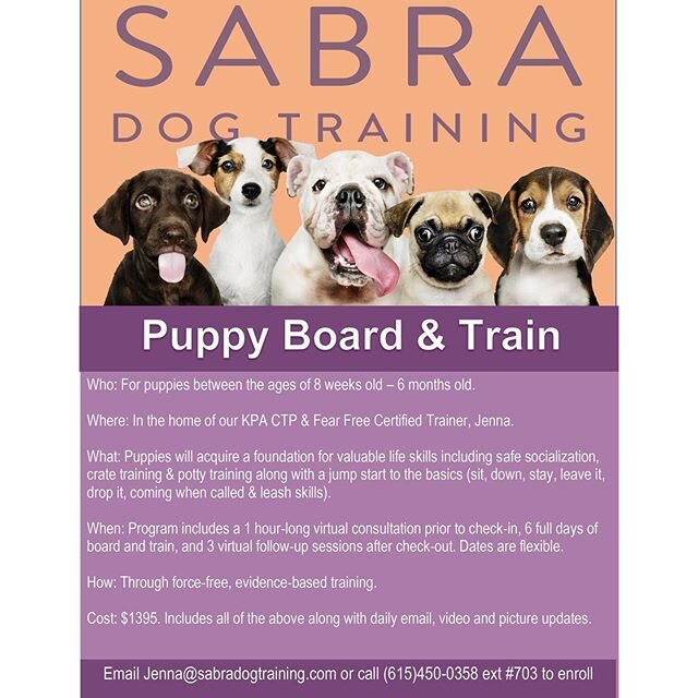 Quarantine puppy on your hands? Looking for some additional help beyond virtual sessions? Our puppy board and train with Jenna is for you!