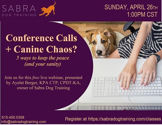 Working from home and conducting business via conference calls? Does your dog -- er new officemate -- constantly interrupt you and create a lot of noise? You're not alone!
&bull;
Join Ayelet Berger, KPA CTP, CPDT-KA,  owner of Sabra Dog Training, for