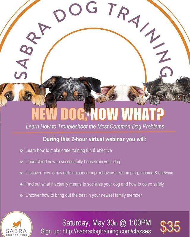 Congrats! You&rsquo;ve just welcomed a dog into your home. Whether you have a new puppy or an older dog, you probably have questions. Don&rsquo;t worry, we&rsquo;ve got you!
During this 2-hour webinar you&rsquo;ll learn how to troubleshoot the most c