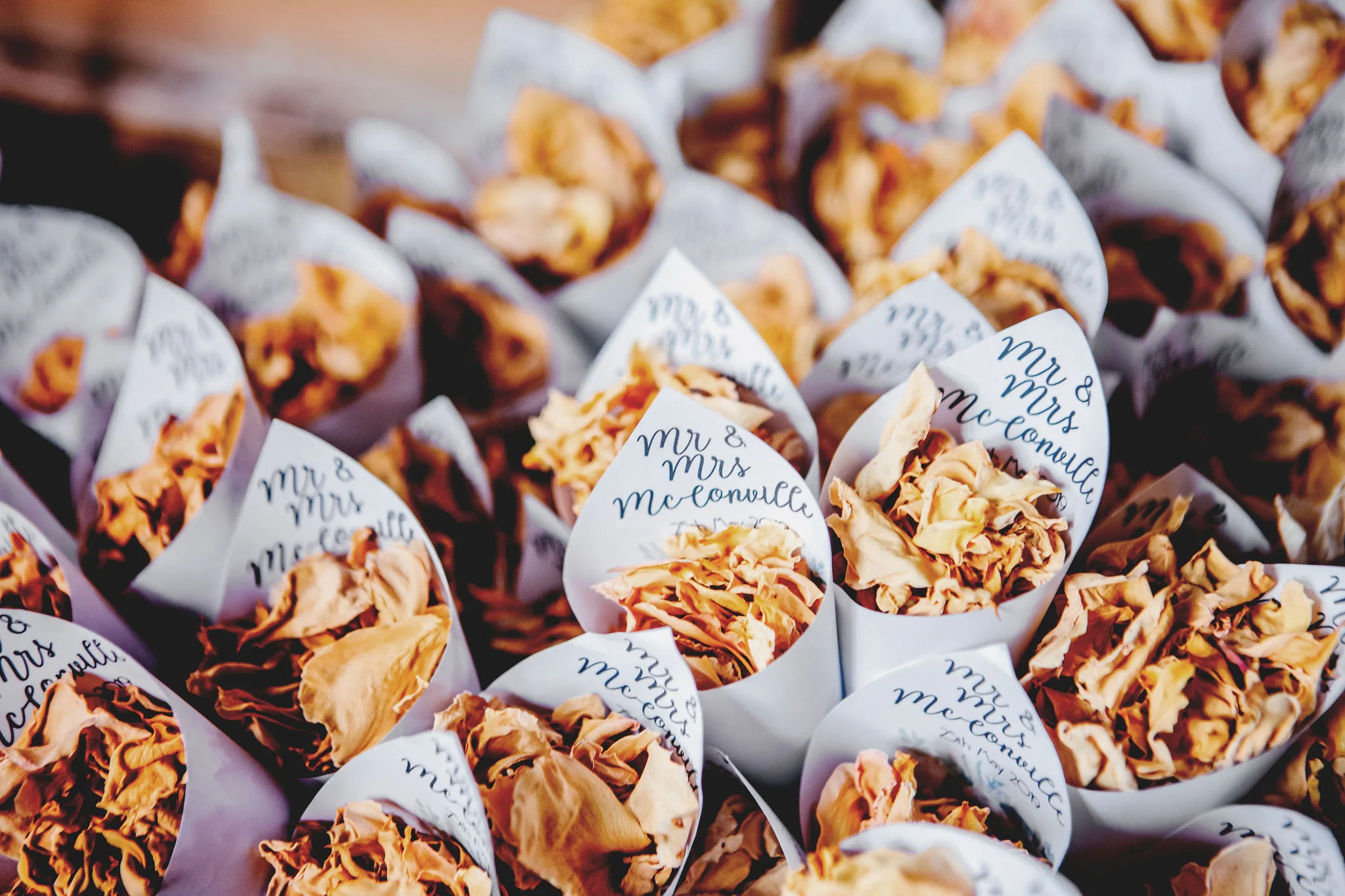 fiesta-fields-louisa-thomas-blog-confetti-abigailwhite.jpg