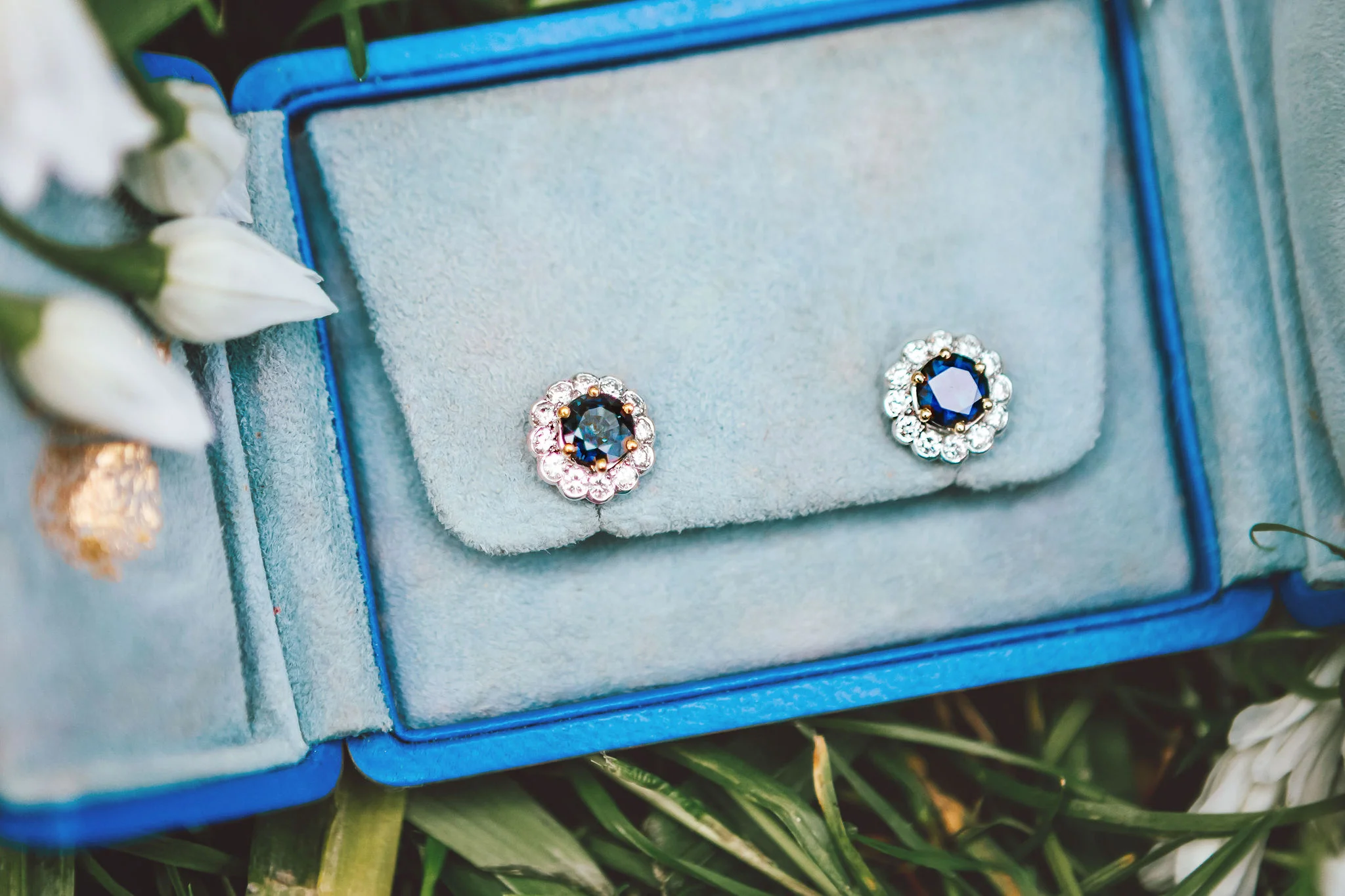 fiesta-fields-louisa-thomas-blog-something-borrowed-abigailwhite.jpg