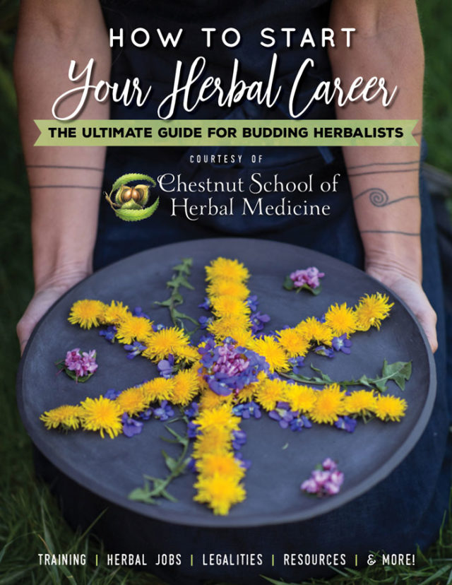 How to Start Your Herbal Career: The Ultimate Guide for Budding Herbalists by the Chestnut School of Herbal Medicine