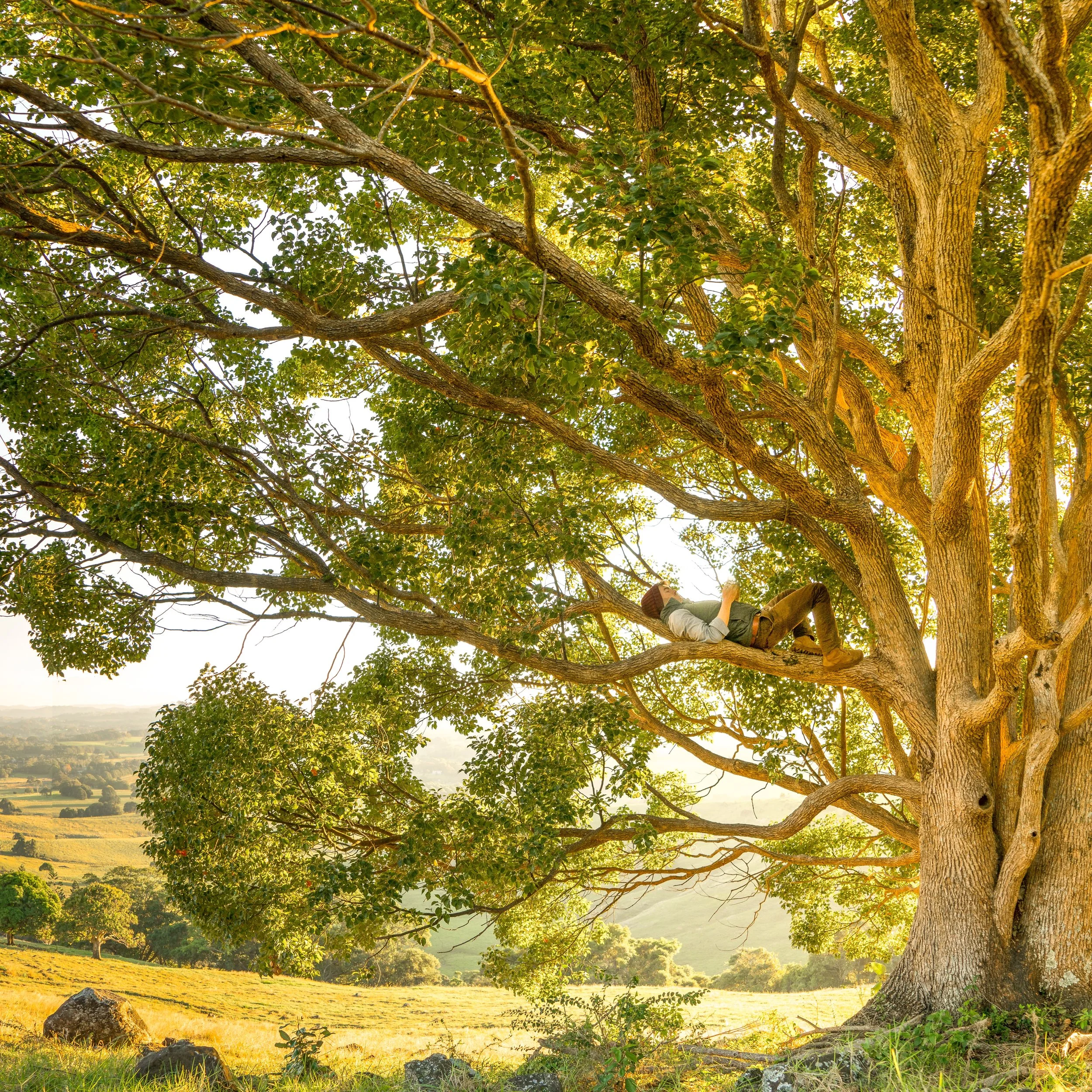 Ready to Branch Out? Try Writing Conferences, Retreats, &amp; Workshops