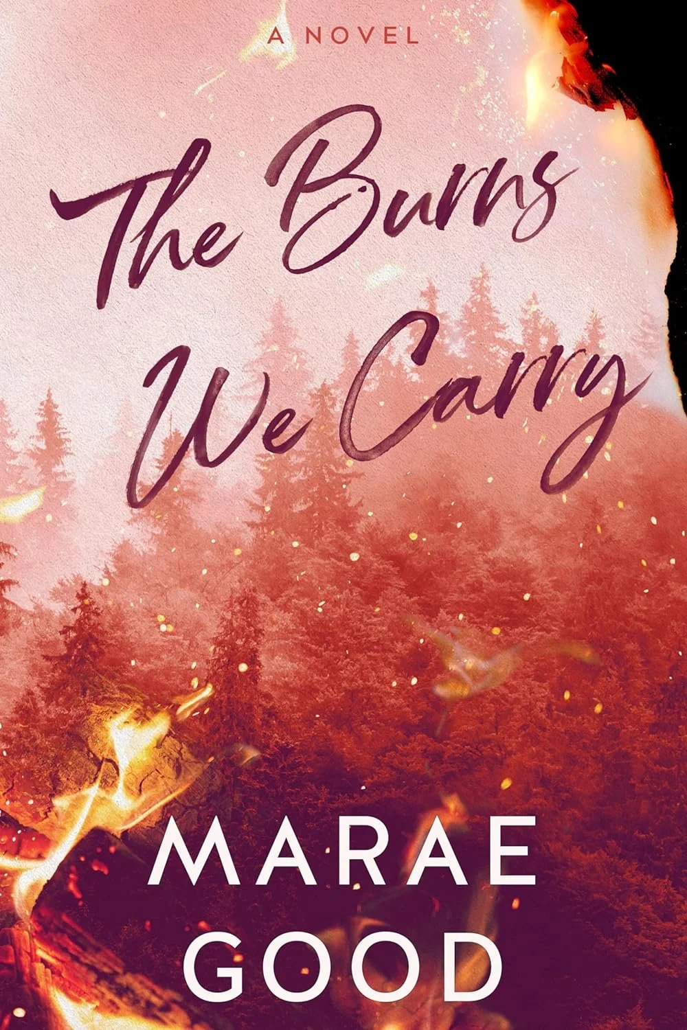 The-Burns-We-Carry-by-Marae-Good.jpg