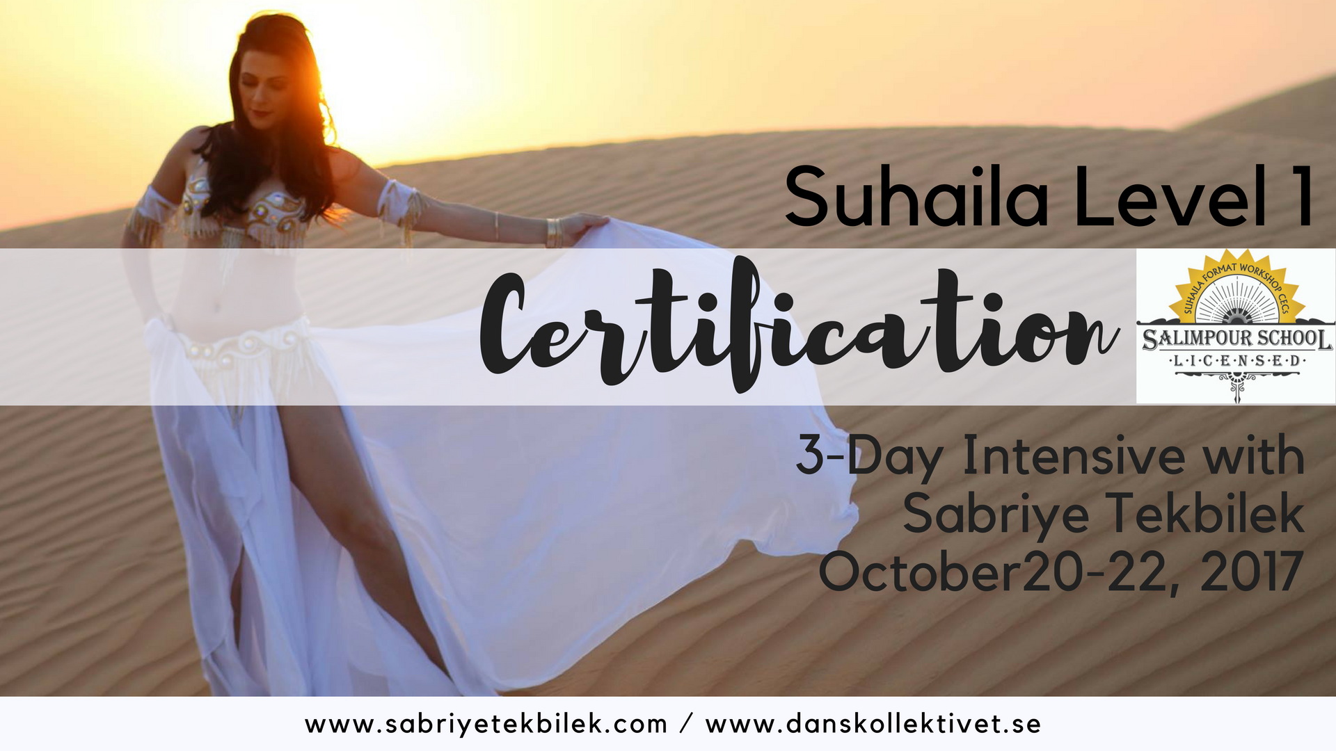 Suhaila Salimpour Level 1 Certification Workshop-Stockholm, Sweden
