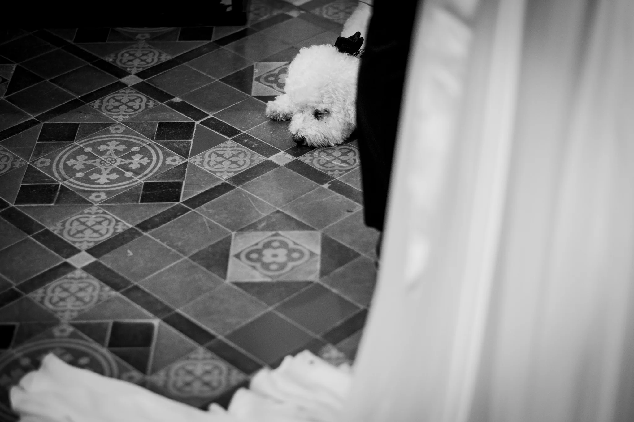 DeanandBellaLowRes0235.jpg