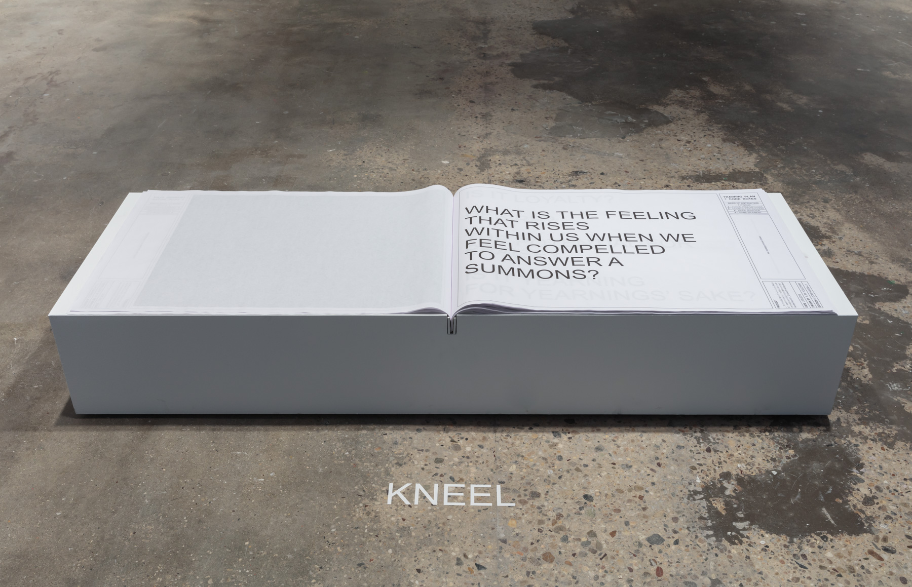 Scheduled(VariableRatio):secondary-conditioned- immediateReinforcement(s)-handlerSearch1_DrillAndPractice.exe_Companion4.1 Interactive book, plinth, and vinyl text. (2019) Photo by Stan Narten.