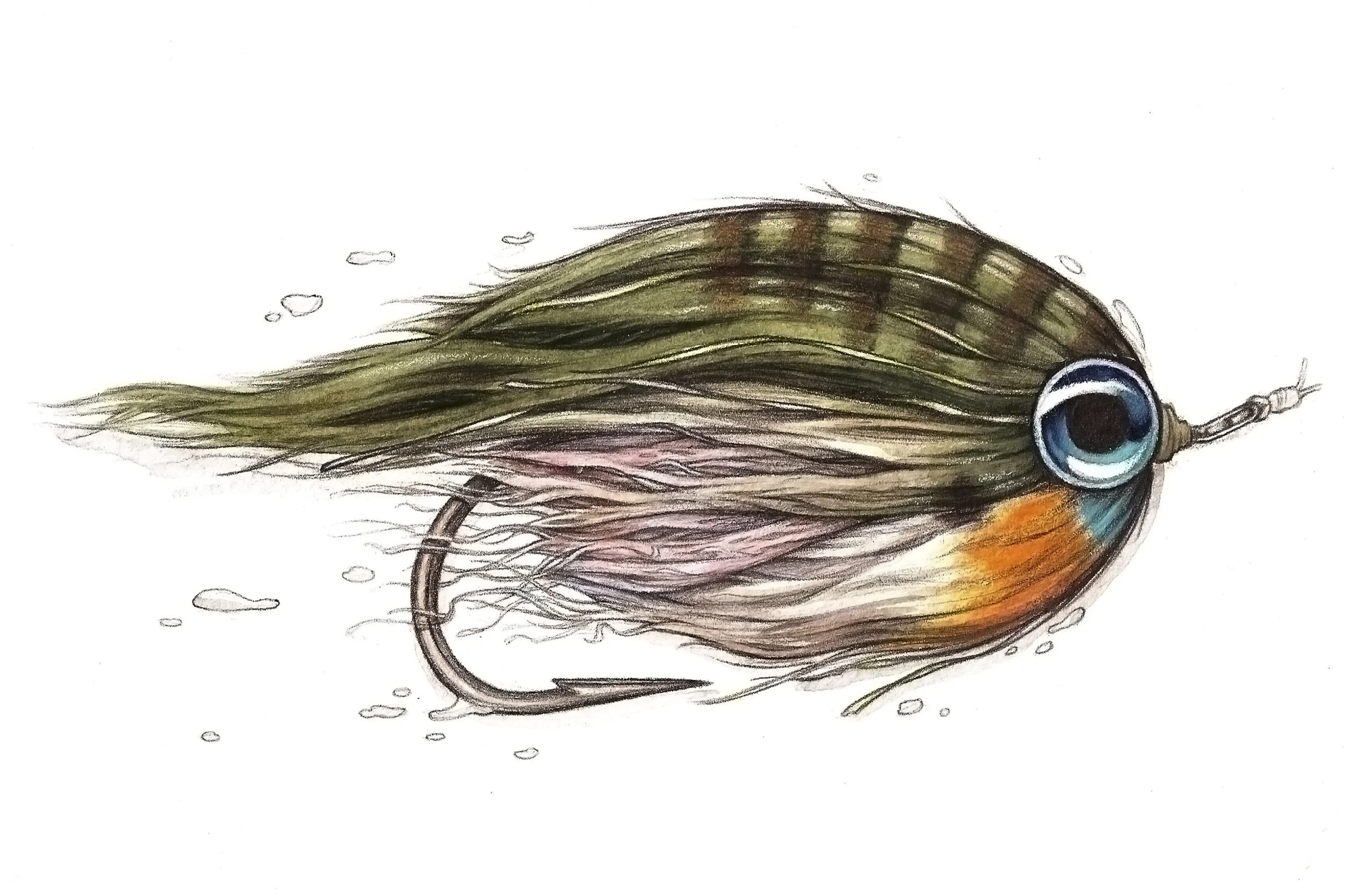 Low Fat Minnow tied by Flyfish Food | Watercolor and Pen
