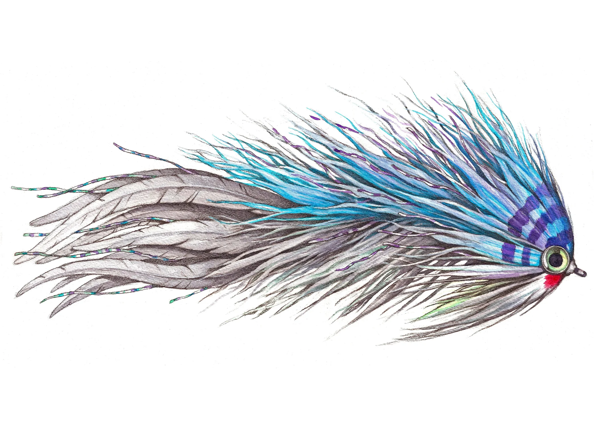 Devil Dancer Fly tied by Matt Grajewski | Watercolor and Pen
