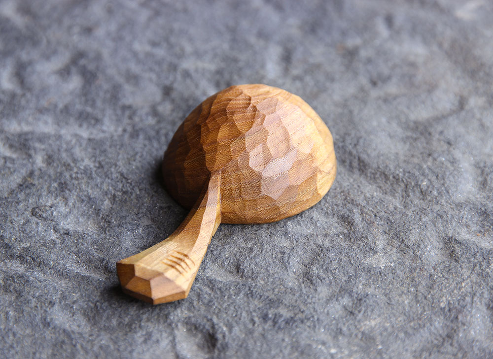 Turtle Shell 2.jpg