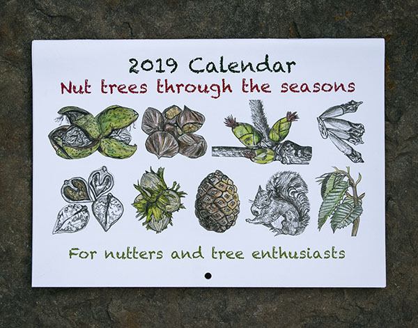 Calendar 5 front.jpg