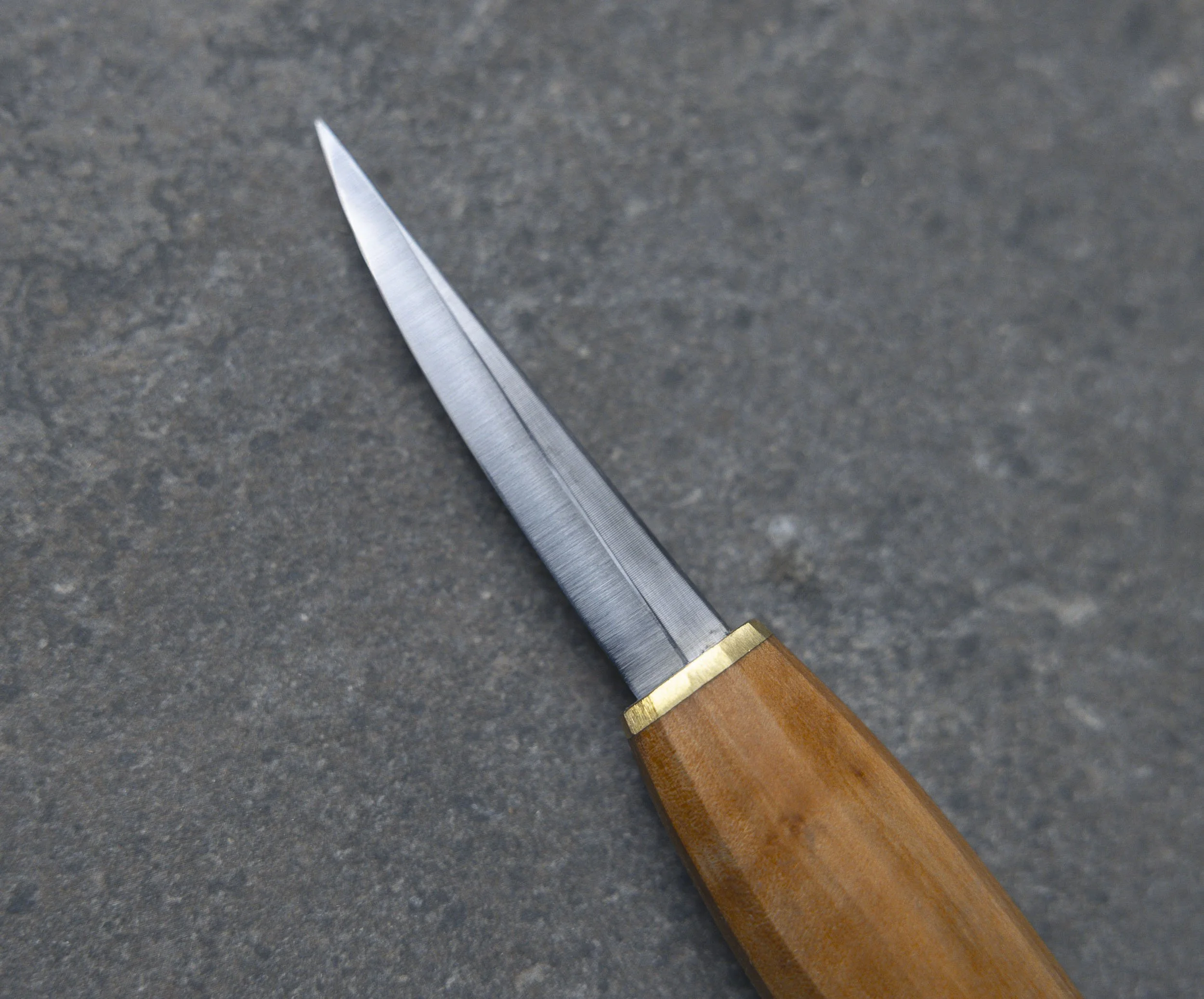 AALoRes_R62_7655.jpg
