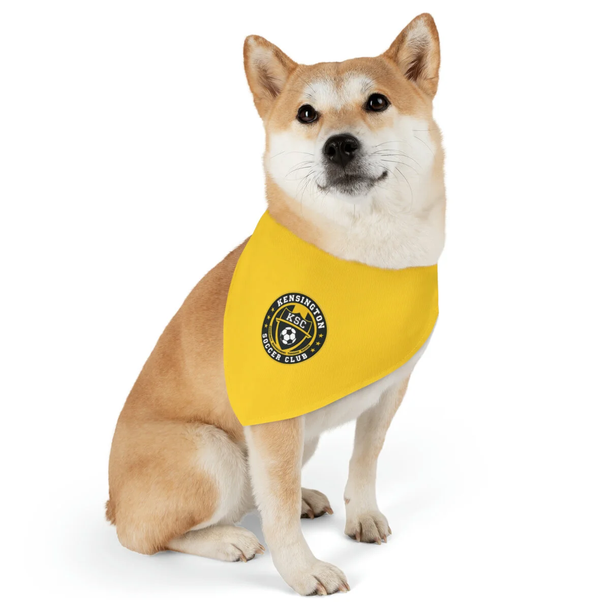 adf39886fad9dbcf245c28f889830d08