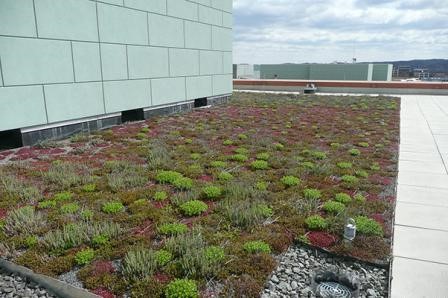   Vegetated roofs can help manage stormwater on-site. (Photo Credit: USEPA)  