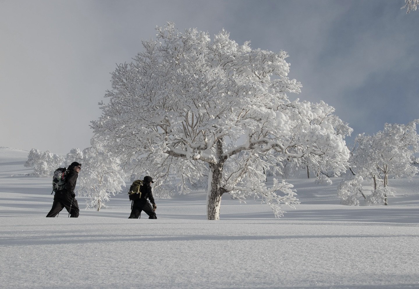 Winter may still be a way off, but it's never too early to get organised. 

Bootfitting appointments are now open at all of our stores, plus we're offering 20% off rentals from our Niseko Village store until the end of August. Head to our website to 