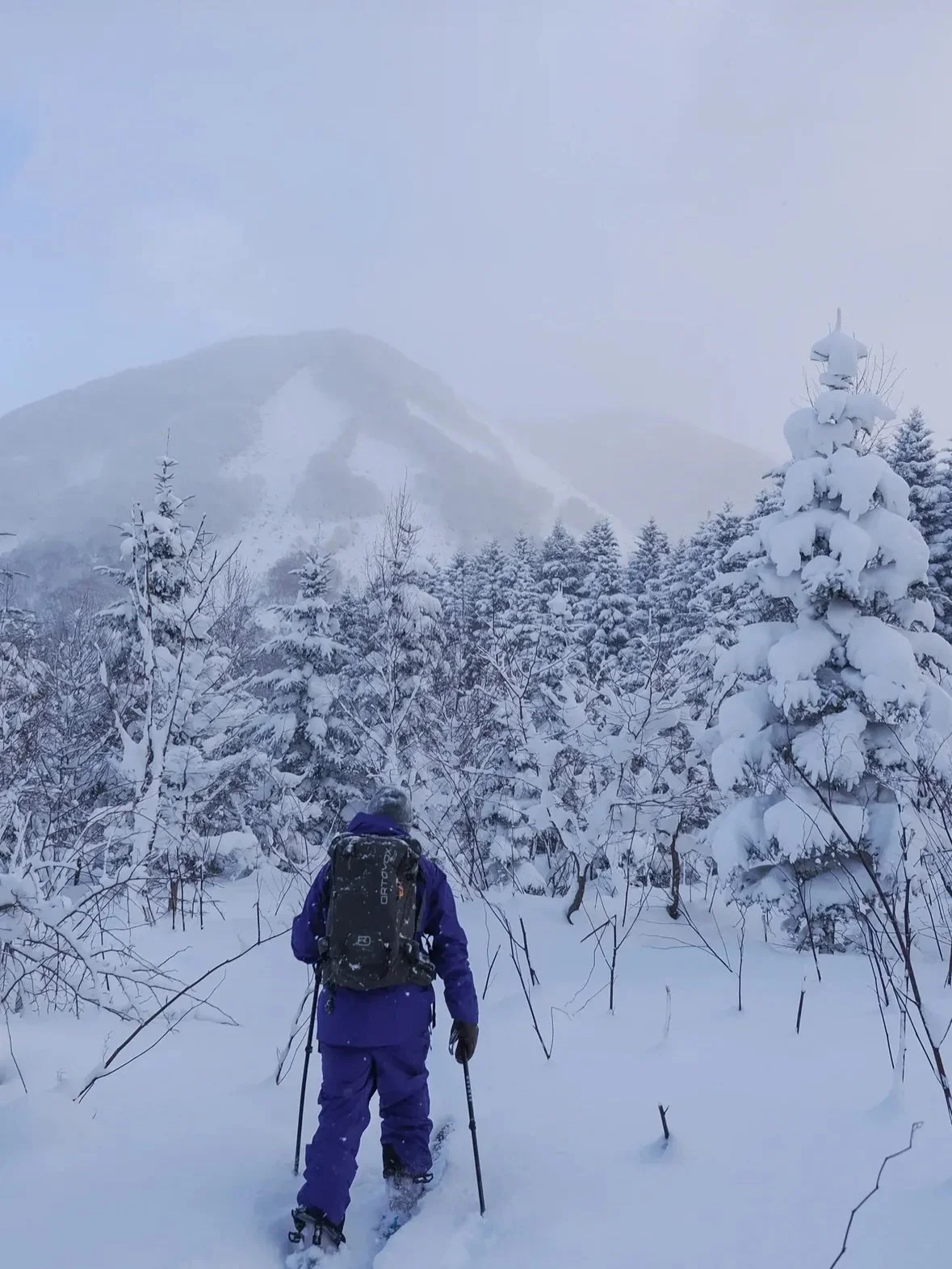 Current conditions update from the Niseko area: after a slow December, we're glad to report that things are starting to look good out there again 😮&zwj;💨 
Photos from this morning.

📸 @ruairidhs 
⛷️ @koens123 

#nisekojapan #japow #winter2526