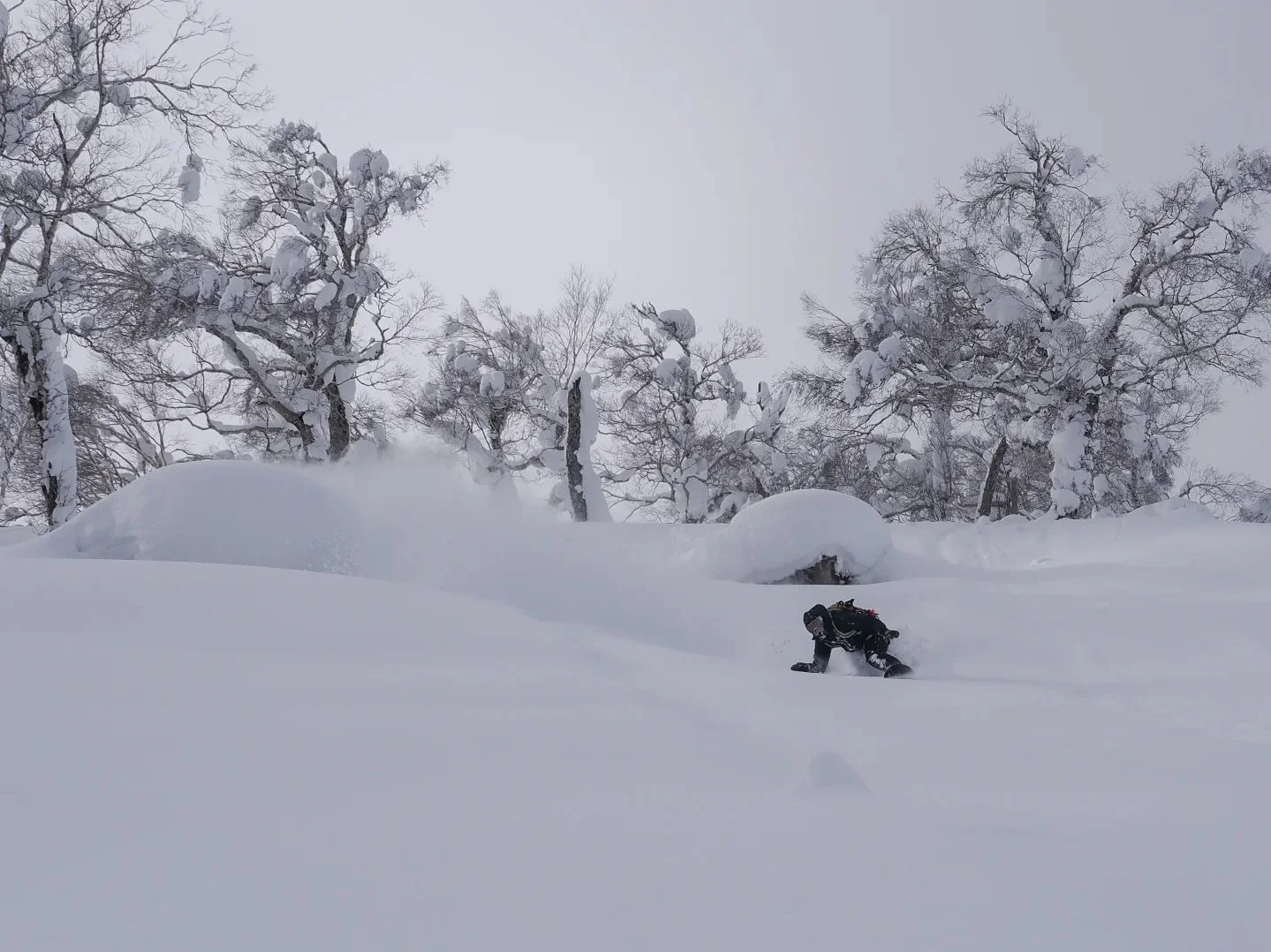 February has been good to us so far 💪 

🏂 @jimi_yuki_oertli 
📸 @ruairidhs 

#snowboarding #japow #powderday